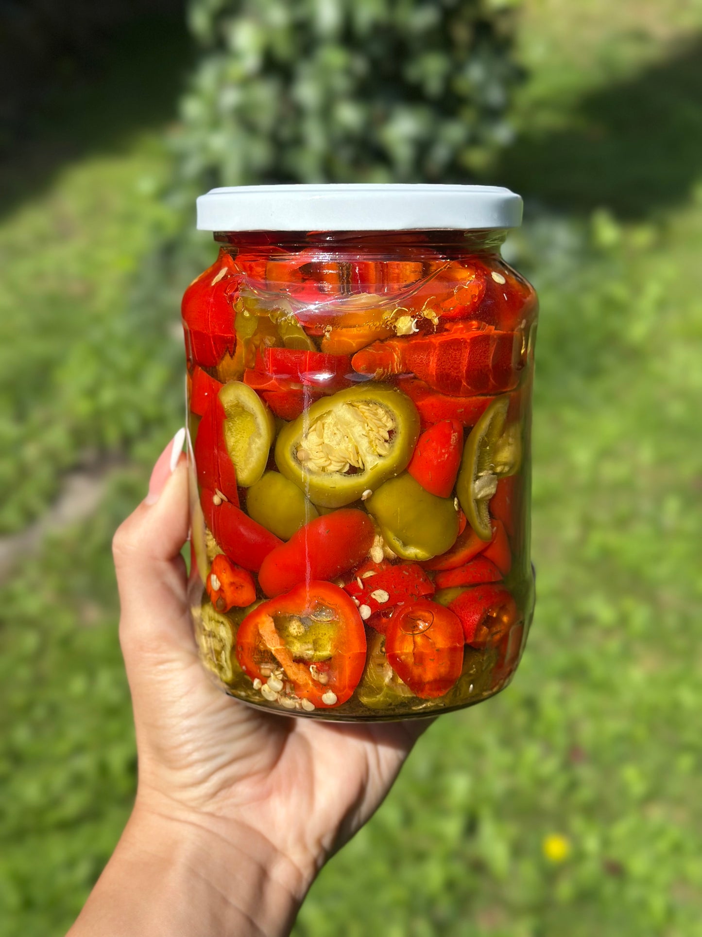 Chilli v oleji 720ml